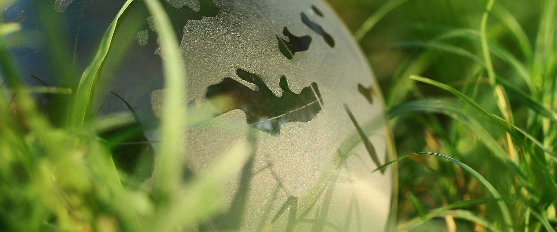發(fā)展 交流 合作 共贏